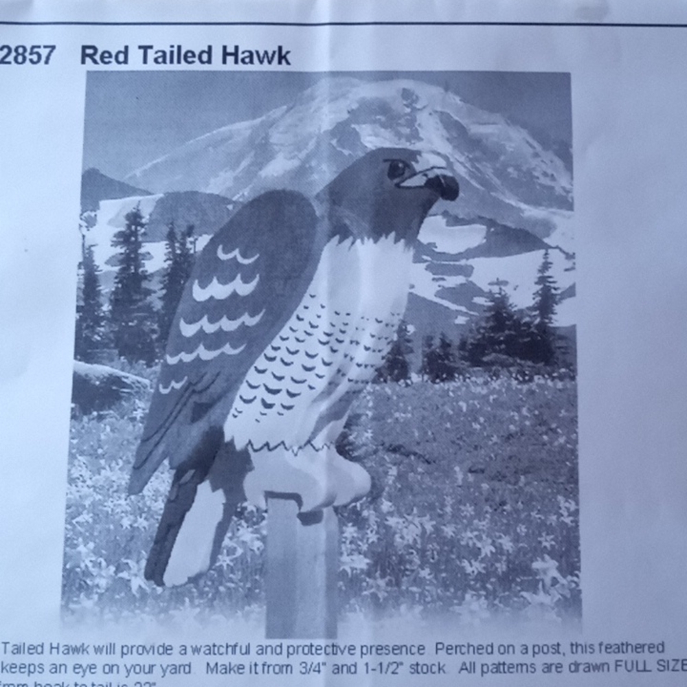 Red Tailed Hawk plan, new plan, by Meisel wood hobby.